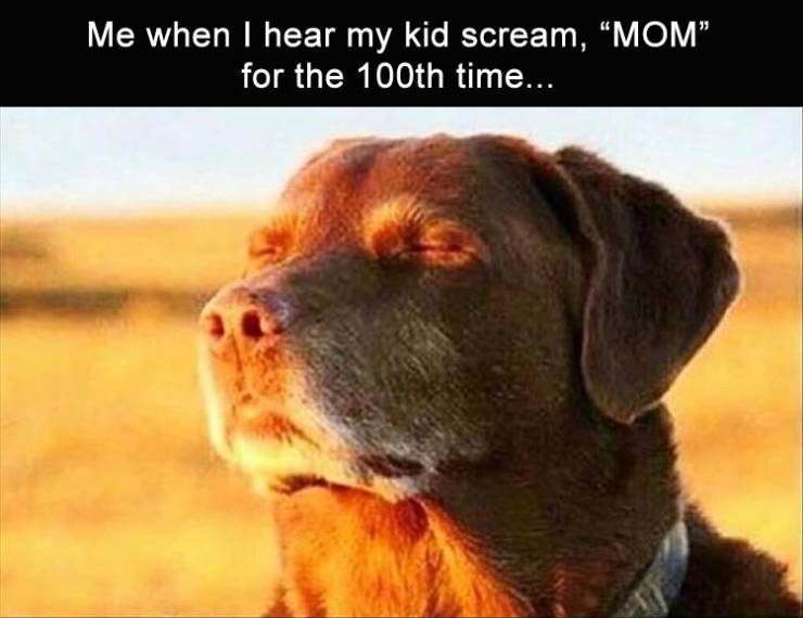 funny picdump 54 pics 25.html - 54 HD Photos | Premium Gallery 2019