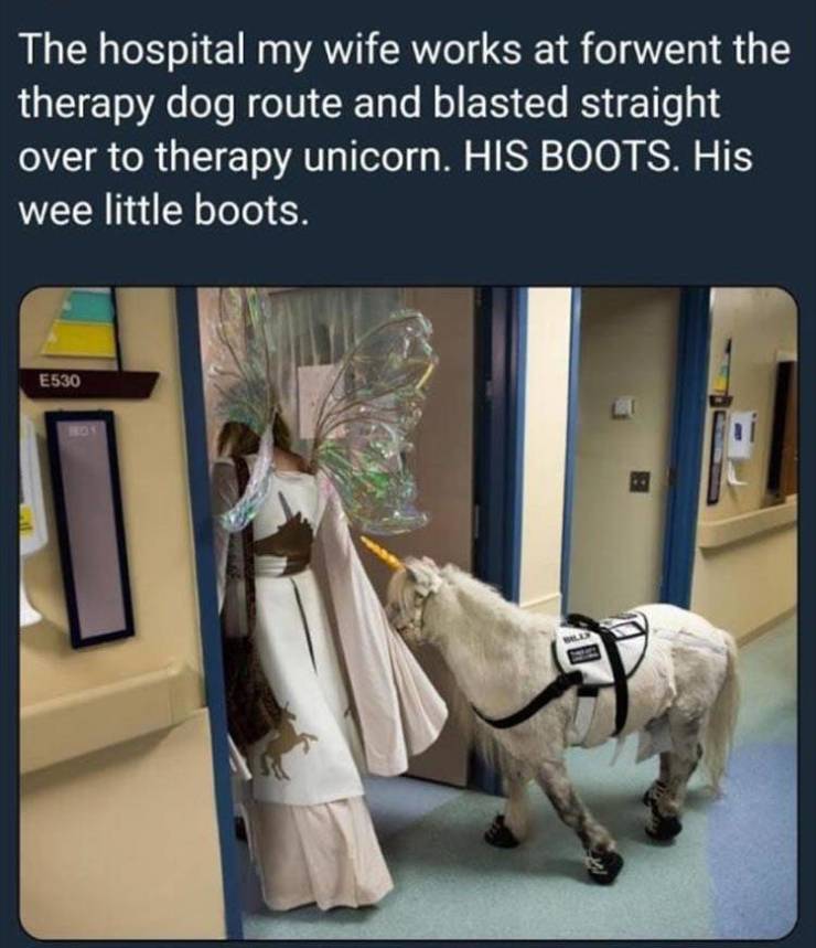 funny picdump 54 pics 25.html - 54 HD Photos | Premium Gallery 2019