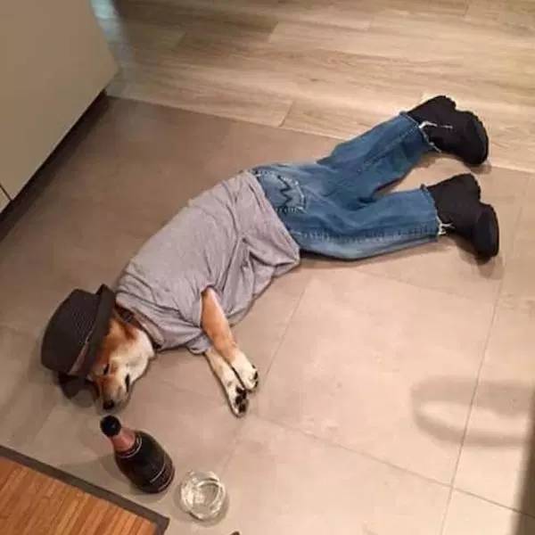 Diagnosis: Absolutely Wasted