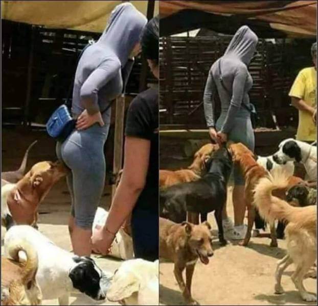 page,7,top 750 daily pics of the year 2019.html - 1 HD Photos | Premium Gallery 2019