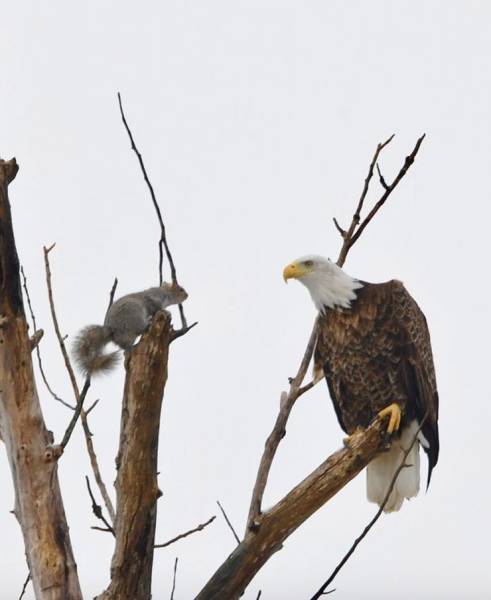 page,20,top 750 daily pics of the year 2019.html - 1 HD Photos | Premium Gallery 2019