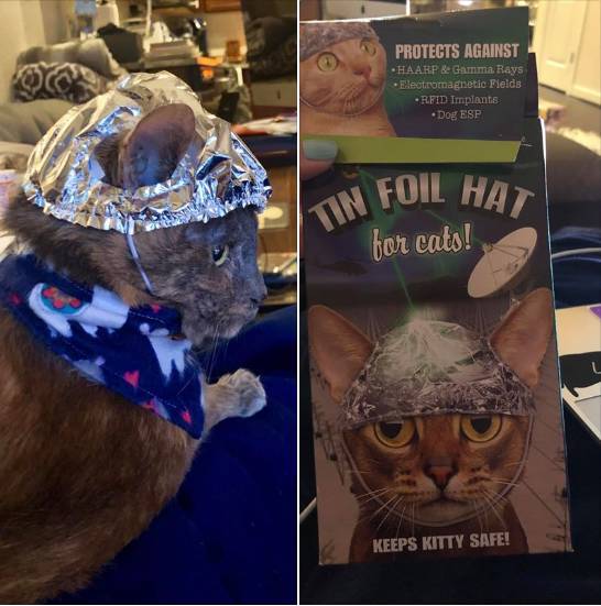 funny picdump 52 pics 3.html - 52 HD Photos | Premium Gallery 2019