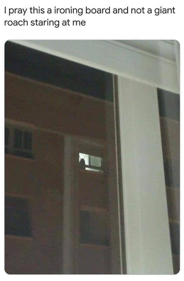 funny picdump 52 pics 3.html - 52 HD Photos | Premium Gallery 2019