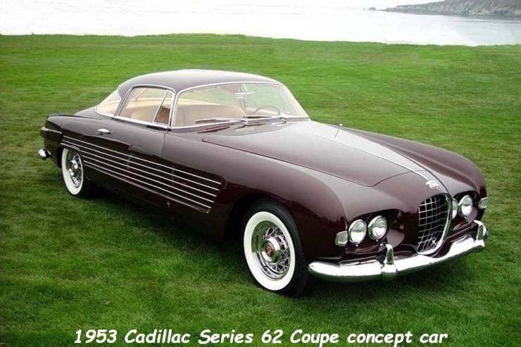 top 750 daily pics of the year 2019.html - 1 HD Photos | Premium Gallery 2019