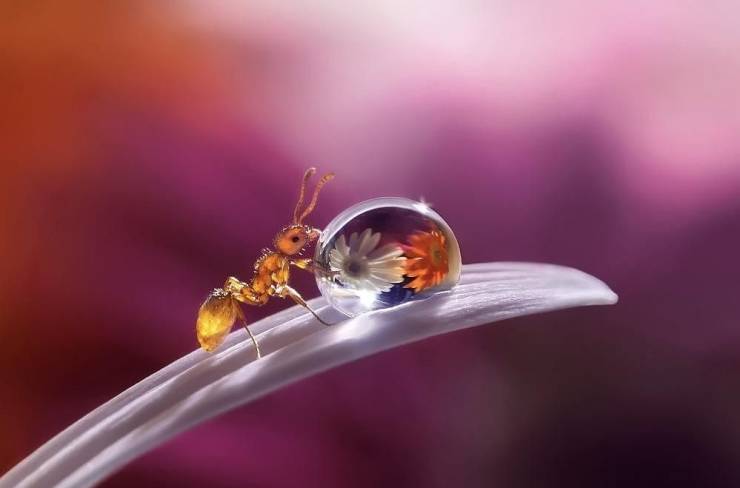 page,7,top 750 daily pics of the year 2019.html - 1 HD Photos | Premium Gallery 2019