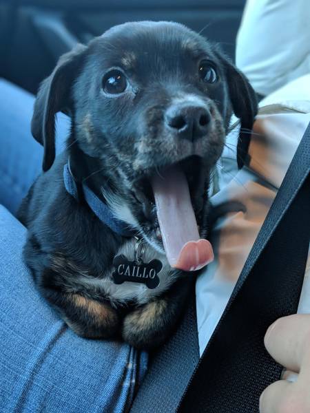 page,12,top 750 daily pics of the year 2019.html - 1 HD Photos | Premium Gallery 2019