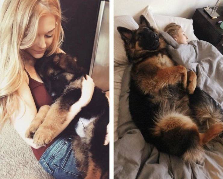 page,20,top 750 daily pics of the year 2019.html - 1 HD Photos | Premium Gallery 2019