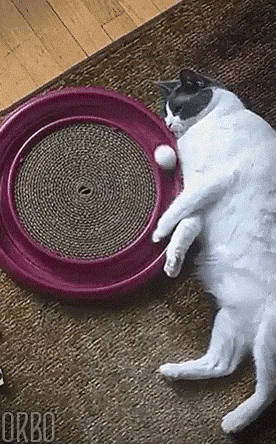 GIFs Looped To The Point Of Perfection