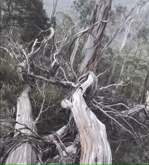 GIFs Looped To The Point Of Perfection