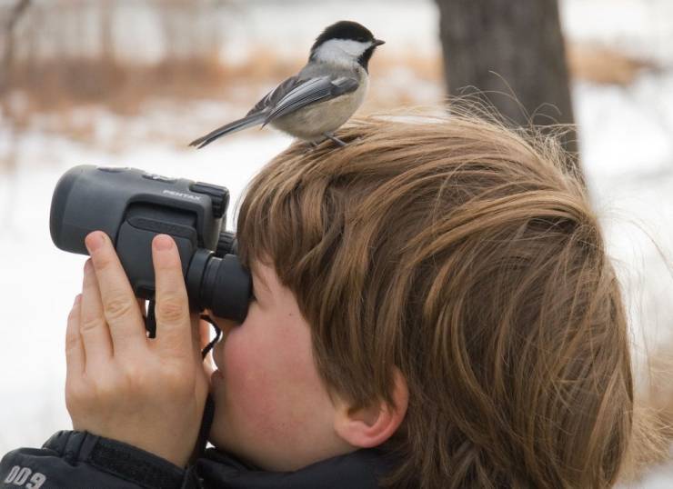 daily picdump 97 pics 27.html - 97 HD Photos | Premium Gallery 2019