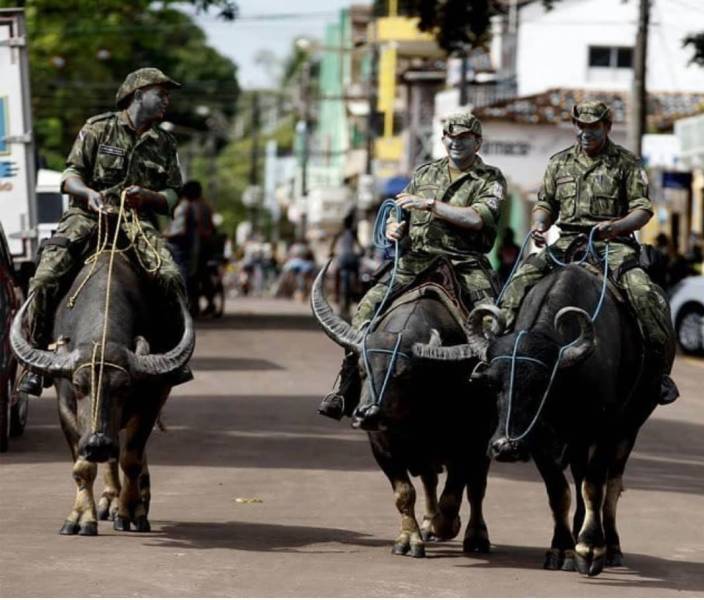 daily picdump 97 pics 27.html - 97 HD Photos | Premium Gallery 2019