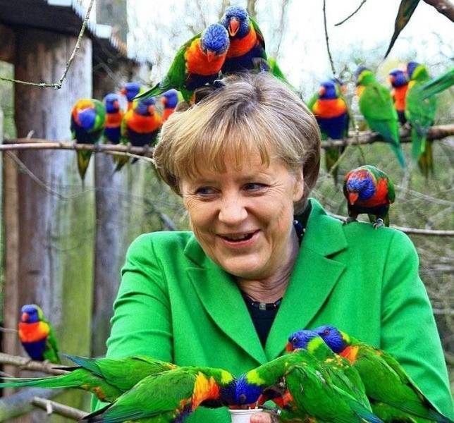 daily picdump 97 pics 27.html - 97 HD Photos | Premium Gallery 2019