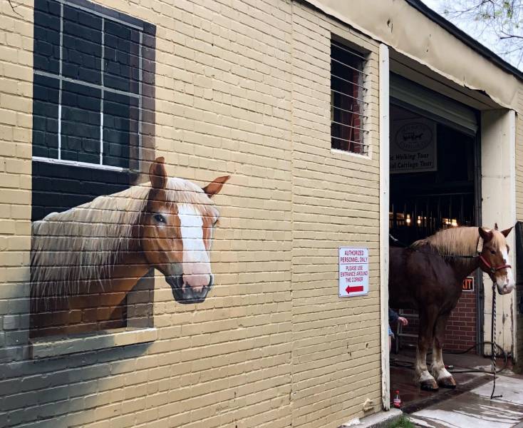 daily picdump 97 pics 27.html - 97 HD Photos | Premium Gallery 2019