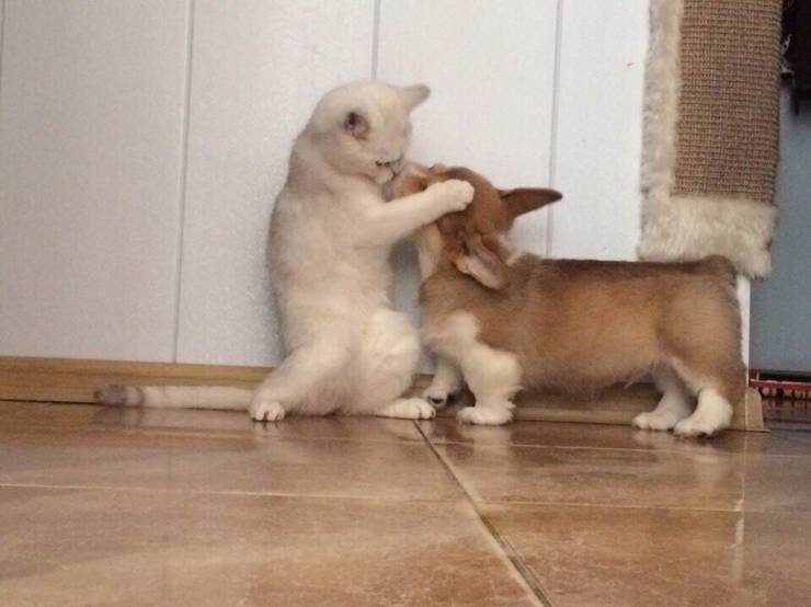 daily picdump 97 pics 27.html - 97 HD Photos | Premium Gallery 2019