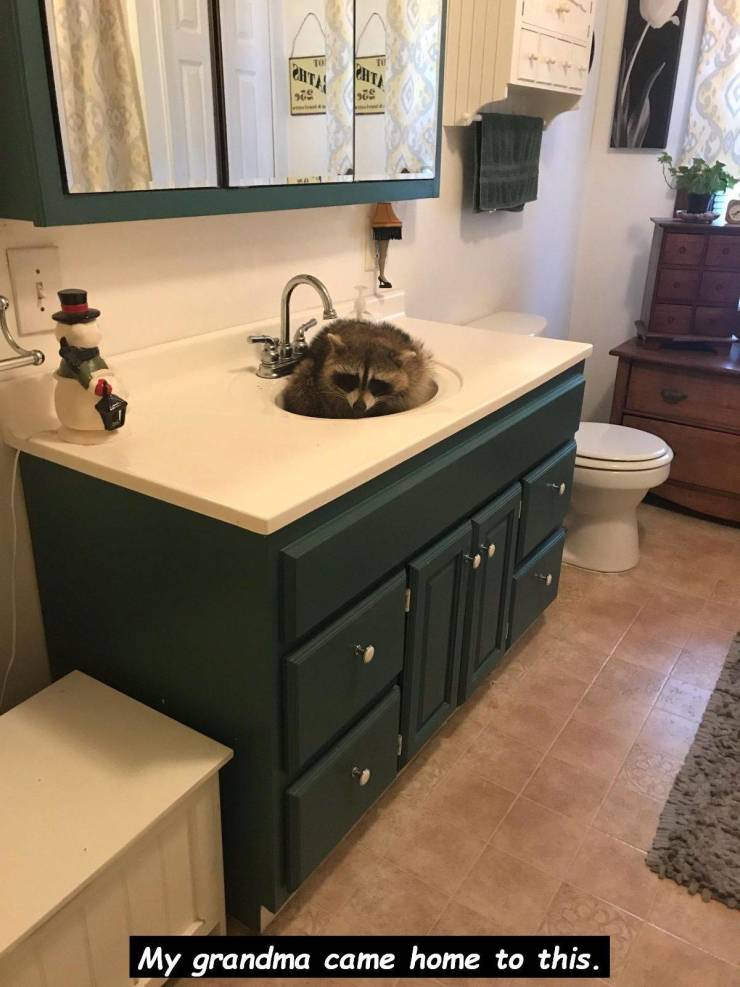 daily picdump 97 pics 27.html - 97 HD Photos | Premium Gallery 2019