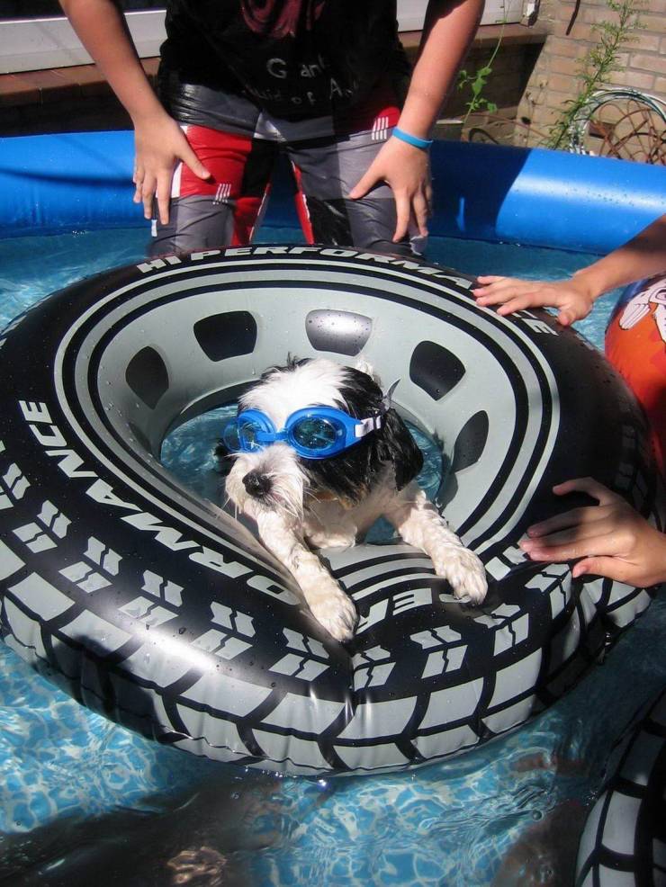 daily picdump 97 pics 27.html - 97 HD Photos | Premium Gallery 2019