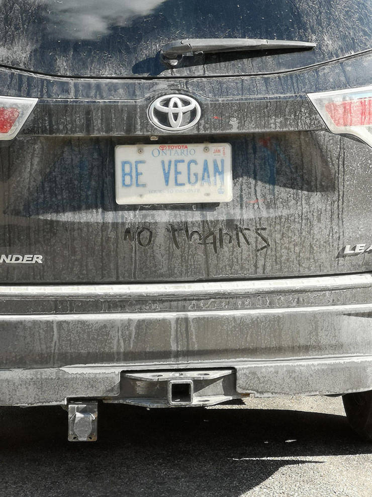 morning picdump 53 pics 24.html - 53 HD Photos | Premium Gallery 2019