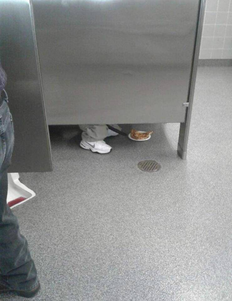 morning picdump 53 pics 24.html - 53 HD Photos | Premium Gallery 2019
