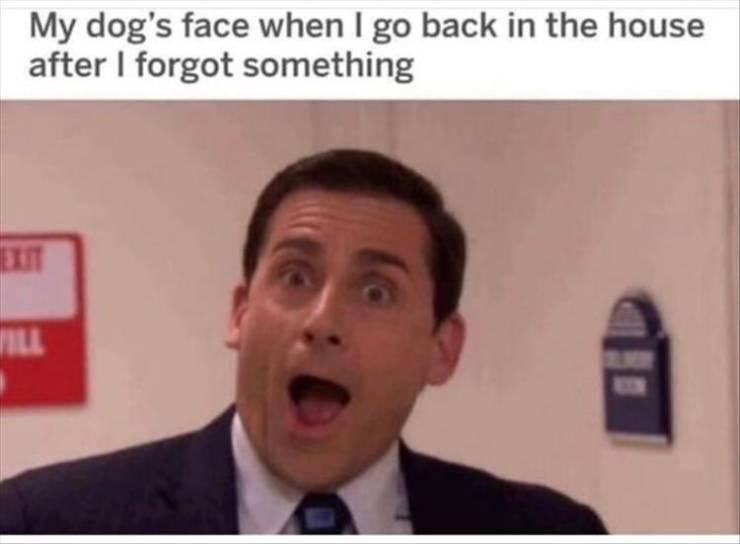 funny picdump 53 pics 9.html - 53 HD Photos | Premium Gallery 2019