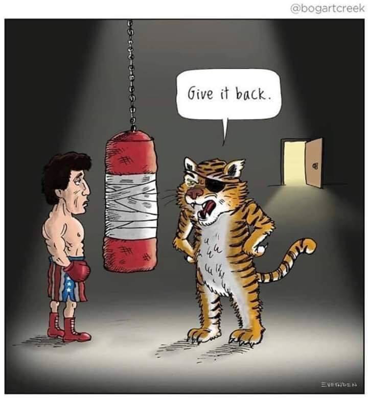 funny picdump 52 pics 9.html - 52 HD Photos | Premium Gallery 2019