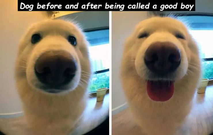 page,21,top 750 daily pics of the year 2019.html - 1 HD Photos | Premium Gallery 2019