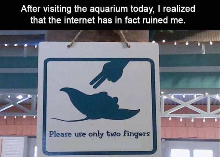 funny picdump 54 pics 8.html - 54 HD Photos | Premium Gallery 2019