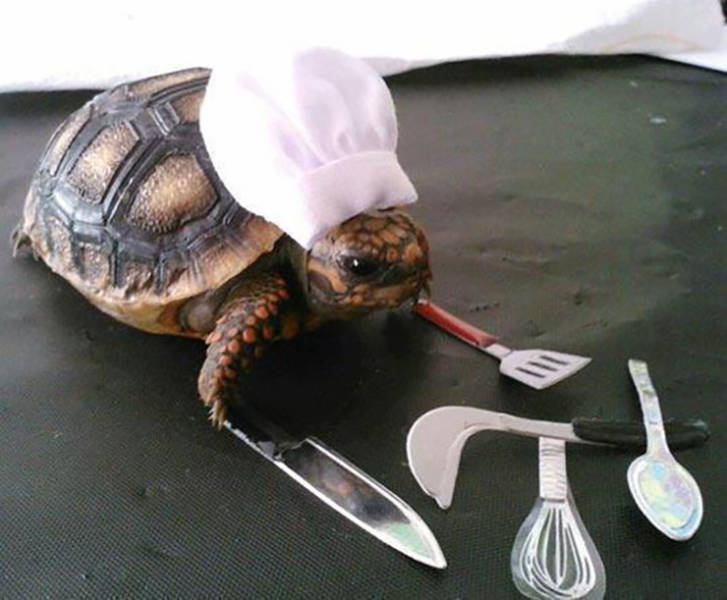 morning picdump 54 pics 1.html - 54 HD Photos | Premium Gallery 2019