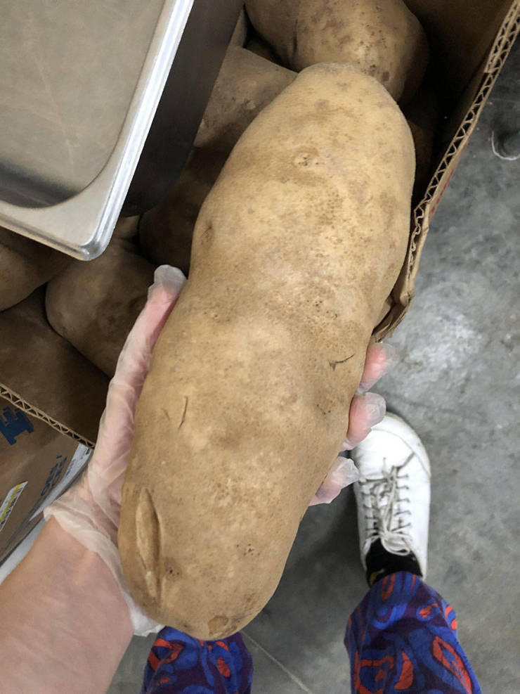 morning picdump 54 pics 1.html - 54 HD Photos | Premium Gallery 2019