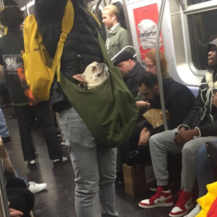 morning picdump 54 pics 1.html - 54 HD Photos | Premium Gallery 2019