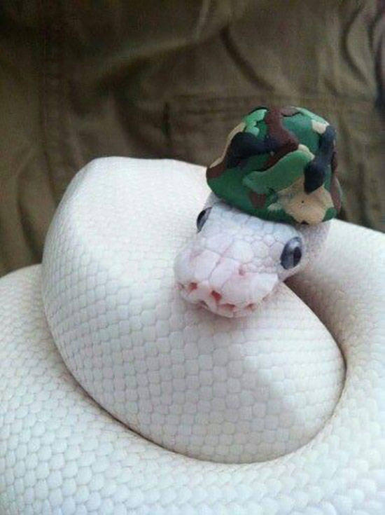 morning picdump 54 pics 1.html - 54 HD Photos | Premium Gallery 2019