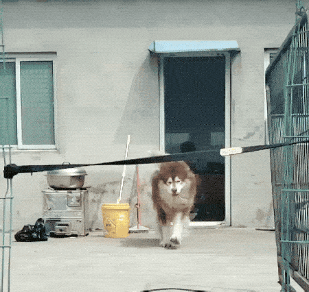 fail gifs are both hilarious and educational 36 gifs 11.html - 1 HD GIF | Premium Gallery 2019