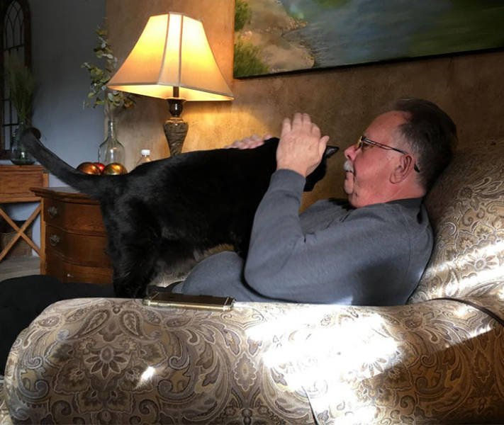 They Said They Didn’t Want A Cat…