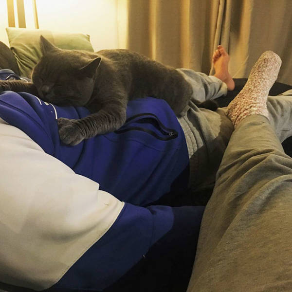 They Said They Didn’t Want A Cat…