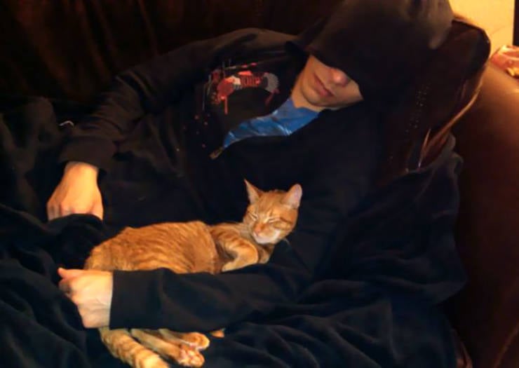 They Said They Didn’t Want A Cat…