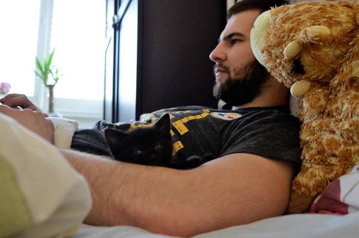 They Said They Didn’t Want A Cat…