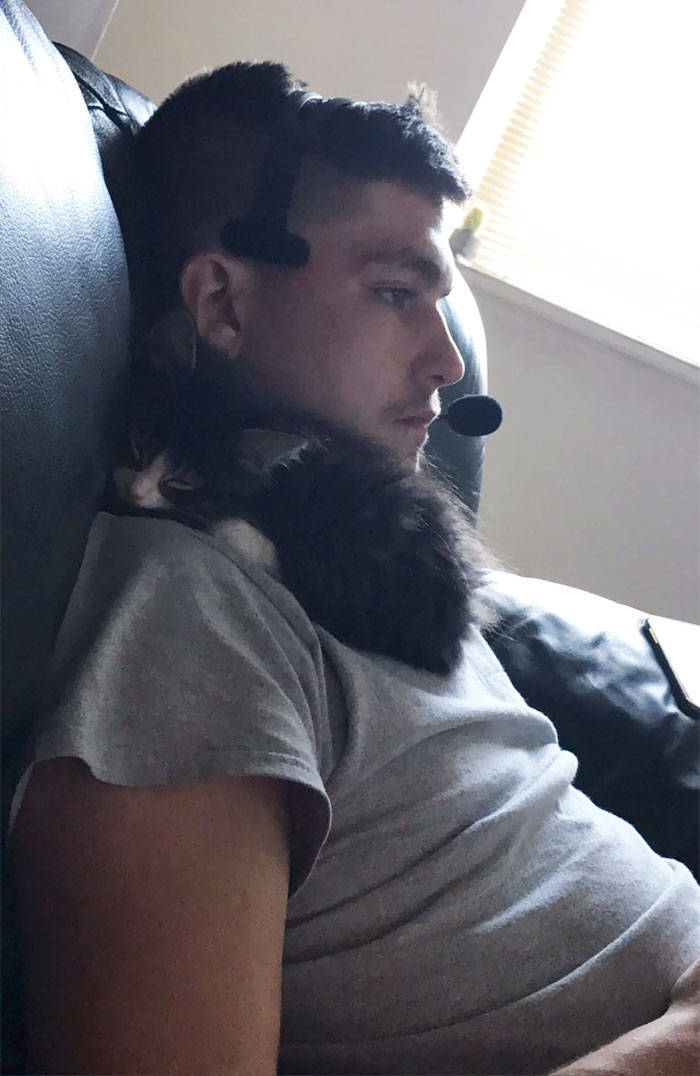 They Said They Didn’t Want A Cat…