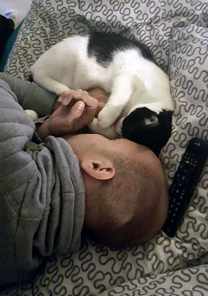 They Said They Didn’t Want A Cat…