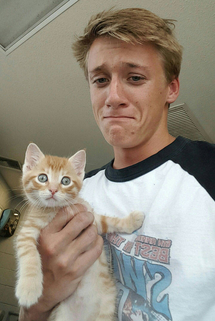 They Said They Didn’t Want A Cat…