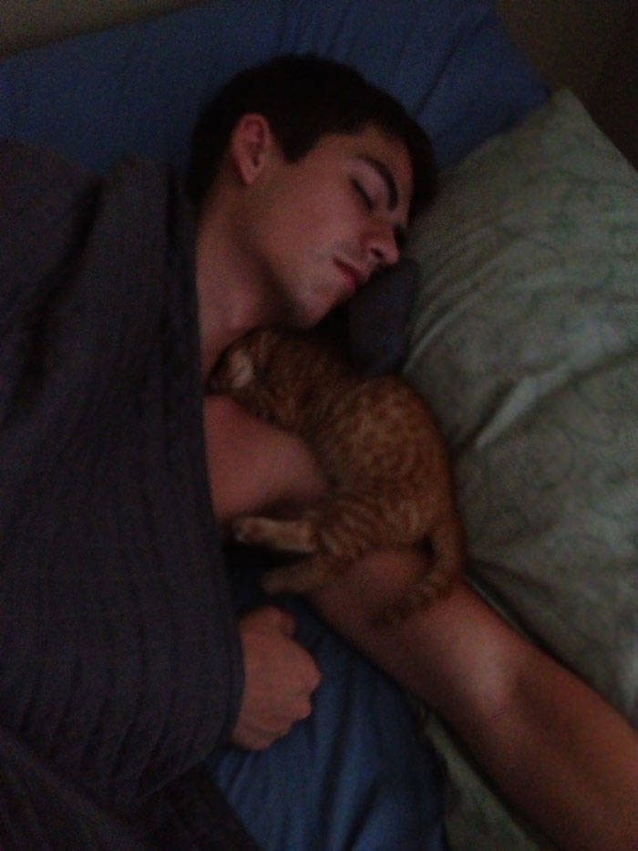 They Said They Didn’t Want A Cat…