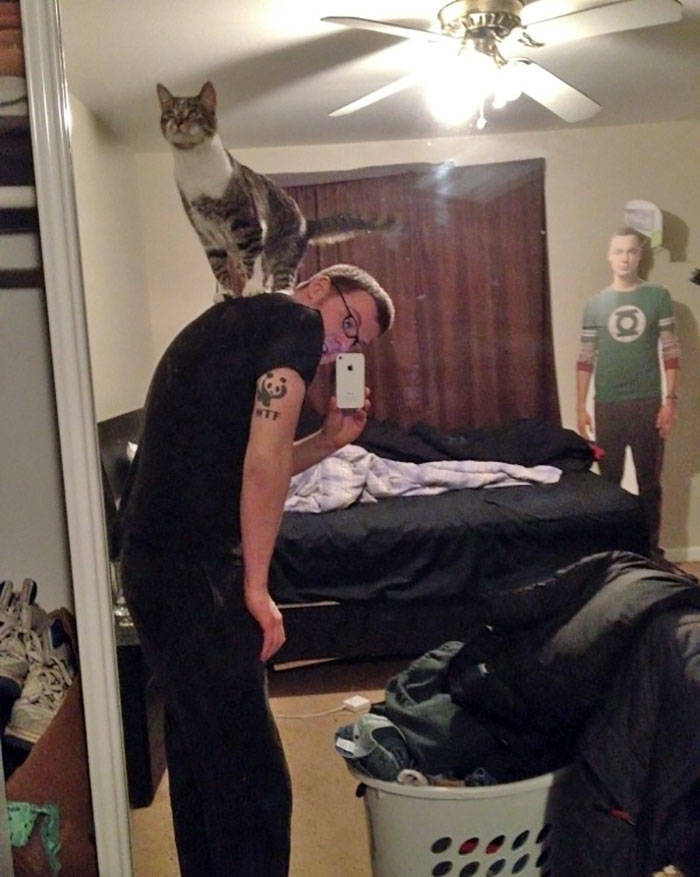 They Said They Didn’t Want A Cat…