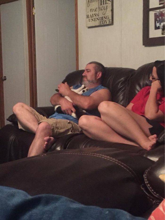 They Said They Didn’t Want A Cat…