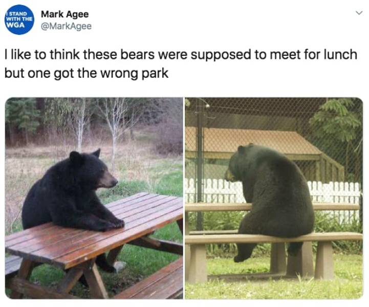 the funniest stuff internet could provide 100 pics 5.html - 100 HD Photos | Premium Gallery 2019