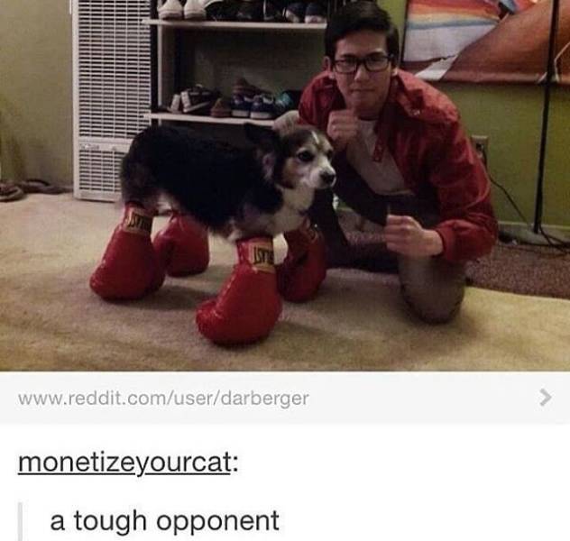 the funniest stuff internet could provide 100 pics 5.html - 100 HD Photos | Premium Gallery 2019