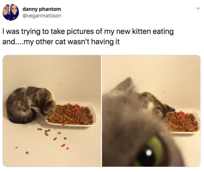 the funniest stuff internet could provide 100 pics 5.html - 100 HD Photos | Premium Gallery 2019