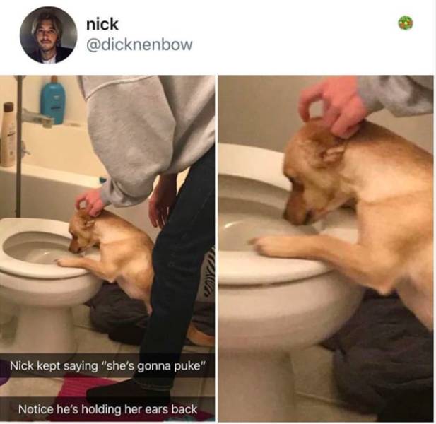 the funniest stuff internet could provide 100 pics 5.html - 100 HD Photos | Premium Gallery 2019