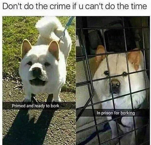 the funniest stuff internet could provide 100 pics 5.html - 100 HD Photos | Premium Gallery 2019