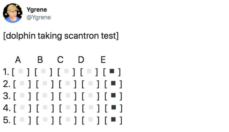 the funniest stuff internet could provide 100 pics 5.html - 100 HD Photos | Premium Gallery 2019