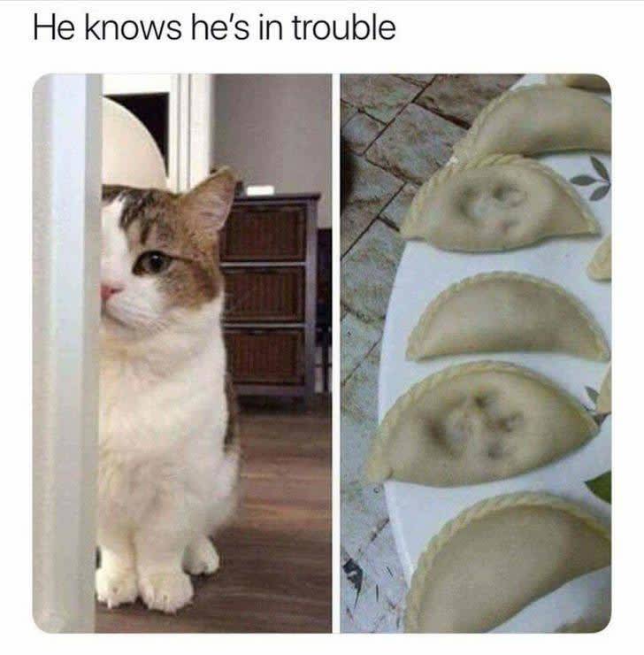 the funniest stuff internet could provide 100 pics 5.html - 100 HD Photos | Premium Gallery 2019