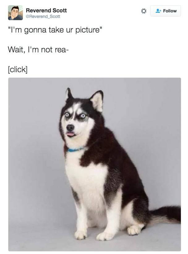 the funniest stuff internet could provide 100 pics 5.html - 100 HD Photos | Premium Gallery 2019