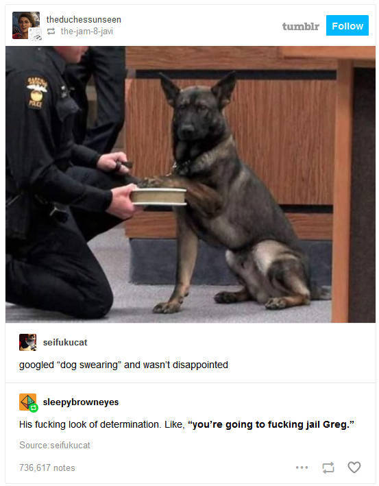 the funniest stuff internet could provide 100 pics 5.html - 100 HD Photos | Premium Gallery 2019